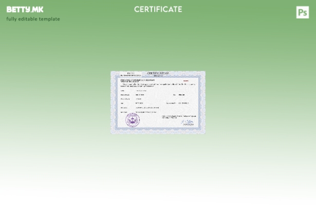 Модерен стил на Брунеи, шаблон за шаблон за PSD сертификат за смртен рекорд од в